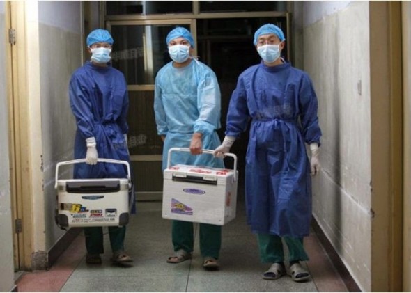 Chinese doctors carry fresh organs for transplant at a hospital in Henan Province on Aug. 16, 2012, in a screenshot from Sohu.com. (Epoch Times)